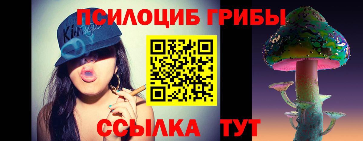 Галлюциногенные грибы мицелий  Псилоцибиновые грибы Psilocybine cubensis  Каменка  Вход с VPN 
